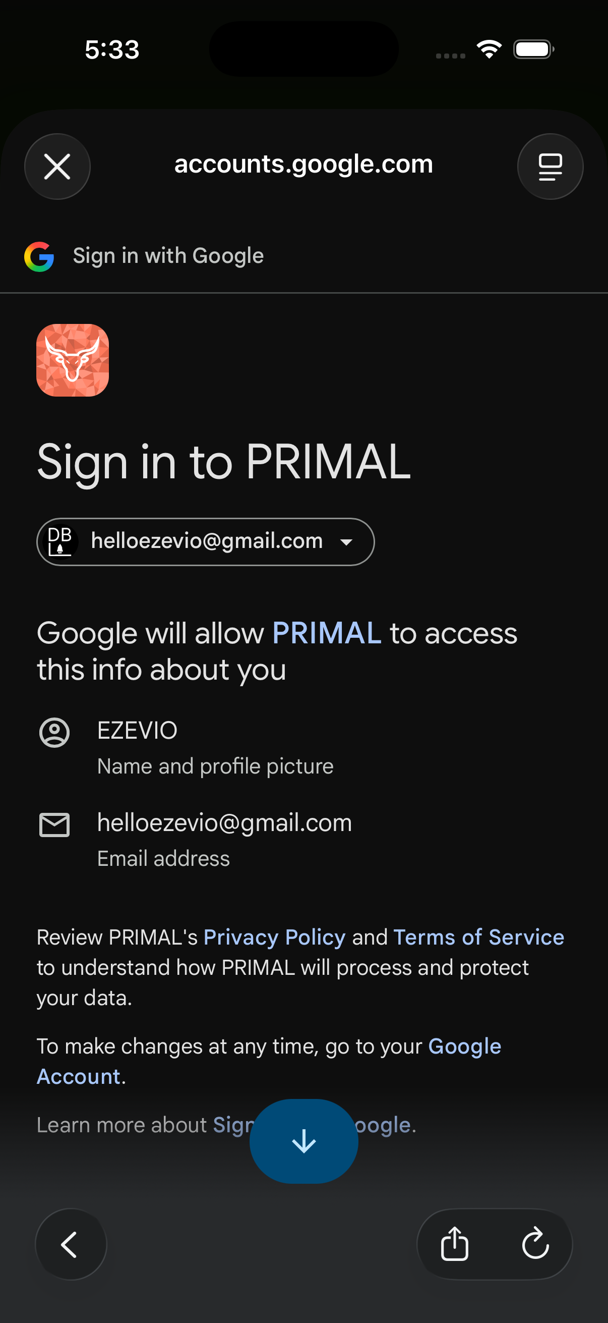 Google OAuth consent screen for PRIMAL